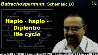 Life Cycle of Batrachospermum with Gujarati Narration