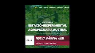 Estación Experimentar Agropecuaria Austral - NUEVA PÁGINA WEB!!