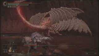 How to beat ancient dragon Senessax - Elden Ring Shadow of the Erdtree