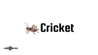 Cricket sound effect|| copyright free|| sound effect for YouTube video