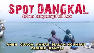 Asyiknya Mancing Baronang di SPOT DANGKAL