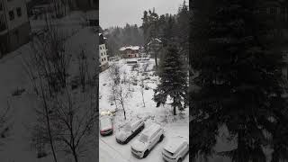 View of snow with Tea in Bulgaria, Borovets