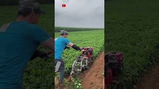 Part 739 Farmer’s Good Helper One machine can be used with multiple functions to save trouble.😱