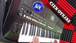 Cien Ovejas ritmo personalizado para Yamaha Tienda de ritmos y samples Avofc