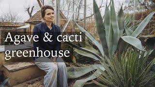 Renovating Our Greenhouse - Giant Agave & Cacti Project in our Cottage Garden