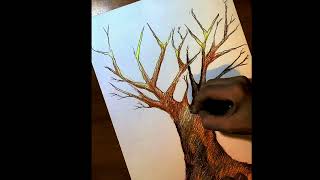 come disegnare un albero spoglio   HD 1080p