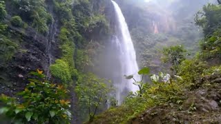 Nature’s Symphony: The Beauty of Waterfall and Piano Music