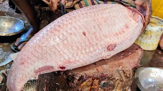 WOW! Satisfying Rohu Fish Skinning And Egg Collection Skills By Expert। Rohu Fish Cutting Video