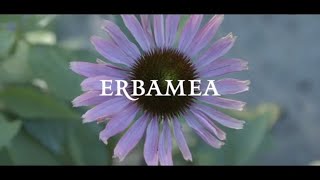 ERBAMEA - Piante Officinali e Integratori Alimentari // Spot