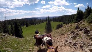 Falt Tops Wilderness Pack-trip Day 2 2016