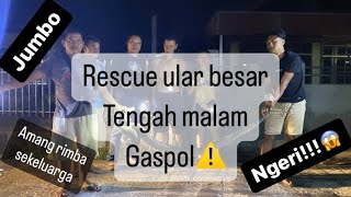 🔴RESCUE!!😱TENGAH MALAM‼️Dapat Laporan warga ada Ular besar⚠️amang rimba satu PLETON turun tangan!