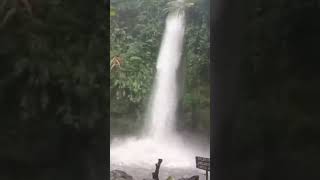 CURUG SAWER #shorts #waterfall #nature #airterjun #curug