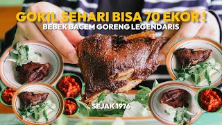 BEBEK BACEM GORENG LEGENDARIS DEKAT STASIUN KERETA ! BEBEK SUWARNI KLATEN ANDALAN WARLOK !