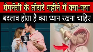 प्रेगनेंसी के तीसरे महीने में क्या रखें ध्यान | 3rd month of pregnancy