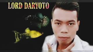 SANG LEGENDARIS LORD DARYOTO BETTA FISH 2020