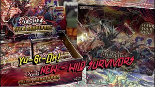 The Newest Yu-Gi-Oh! Set Wild Survivors. Hungry Burger Collector Rare?