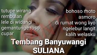 NGELEBUR LANGIT - BOHOSO MOTO - SULIANA FULL ALBUM