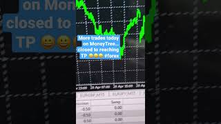 Todays Trades are close to takeprofit on MoneyTree trading robot #forex #trading #tradingrobot #ea