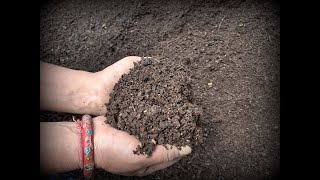 Composting at Home