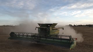 Cutting double crops to bring bean harvest to a close