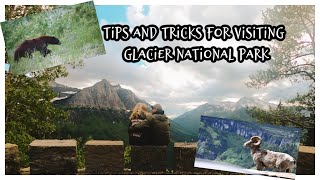 Glacier National Park: Tips And Tricks For An Unforgettable Rv Experience