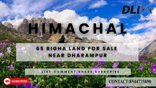 65 bigha land for sale near Dharmpur 📞8544775890 #himachal #property #villa #blogA