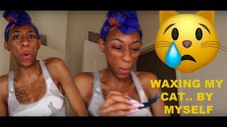 SELF WAXING MY KITTY CAT AT HOME |LALAMILAN