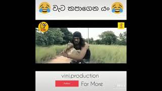 වැට කපාගෙන යමන් රම්බෝ #viniproductions #rambo