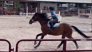 Jumping in Cushioned Support with Cavallo Hoof Boots!