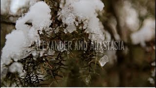 Alexander and Anastasia 12.01.2017. SDE