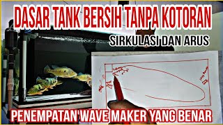 Cara Agar Dasar Aquarium Selalu Bersih Dari Kotoran || Sirkulasi dan arus Aquarium Terbaik.