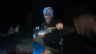 tuna fish catching at sea #fishingtamil #fishcatching #pymeenavan #fish #trendingshorts #viralshort