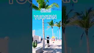 sisal YUCATAN #shorts