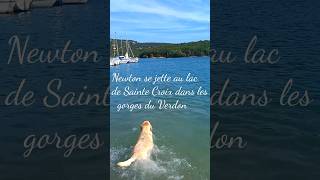 😎Newton se jette dans le Lac de Sainte Croix 💧