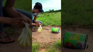 Creative " Amazing - Easy Meke a Bird Trap using Cans