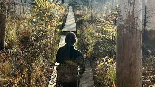 Quincy Bog Natural Area, ecological treasure in the White Mountains of New Hampshire