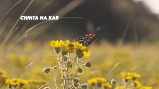 Chinta Na Kar ❤️✝️ | Sunday Special | Christian Hindi Song | New Masihi Geet #jesussongs