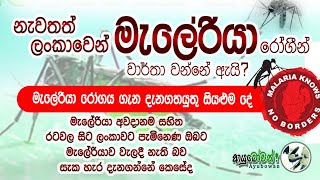 නැවතත් ලoකාවෙන් මැලේරියා රෝගීන් වාර්තාවන්නේ ඇයි?මැලේරියා රෝගය ගැන දැනගතයුතු සියලුම දේ | MLT Anushika