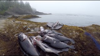 Spearfishing Washington's Wild Coast