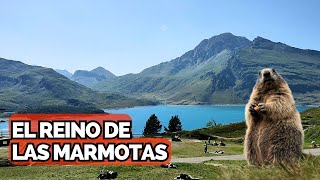 el #reino de las marmotas 🤔paso del moncenisio en #camper #viajando #vanlife #travel #viaje #viajes