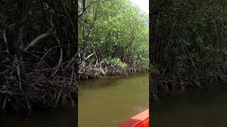 🎼🏖️Curtindo o Veraneio na Praia de Genipabu-RN(03.02)ENSEADA RESTAURANTE🍤🍻PASSEIO DE JANGADA⛵🛶(3)