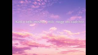 Sanja Vučić x Nucci - Ruzmarin (Lyrics)