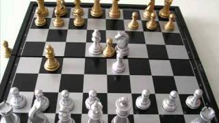 Chessmaster.mp4