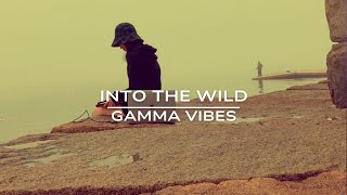 Gamma Vibes - Into The Wild