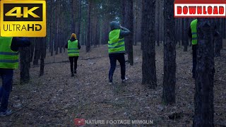 🎁4K Group of volunteers in green vests went in search of missing persons | DAILY NATURE FOOTAGE