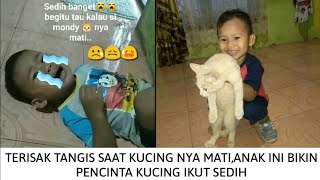 SEDIH BANGET ? Begini reaksi anak ini ketika kucing kesayangan mati,bikin pecinta hewan ikut 😭