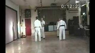 Kyushindo Karate