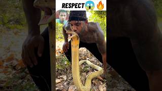 MAN KISSING KING COBRA 🐍🐍 IN HEAD 😱😱😱😱 🗣️ RESPECT 🔥🔥🔥 #shorts |VICKYMGOGOI