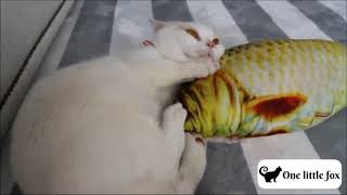 FISHCAT™ - JOUET POISSON POUR CHAT