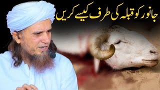 Janwar Ko Qible Ki Taraf Kaise Karein | Mufti Tariq Masood | Islamic Deeniyat |